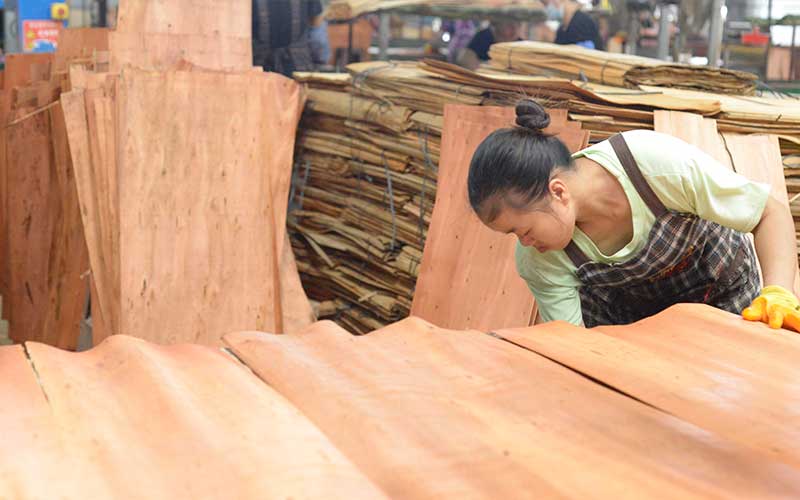 建筑木模板廠家：推薦怪獸木業